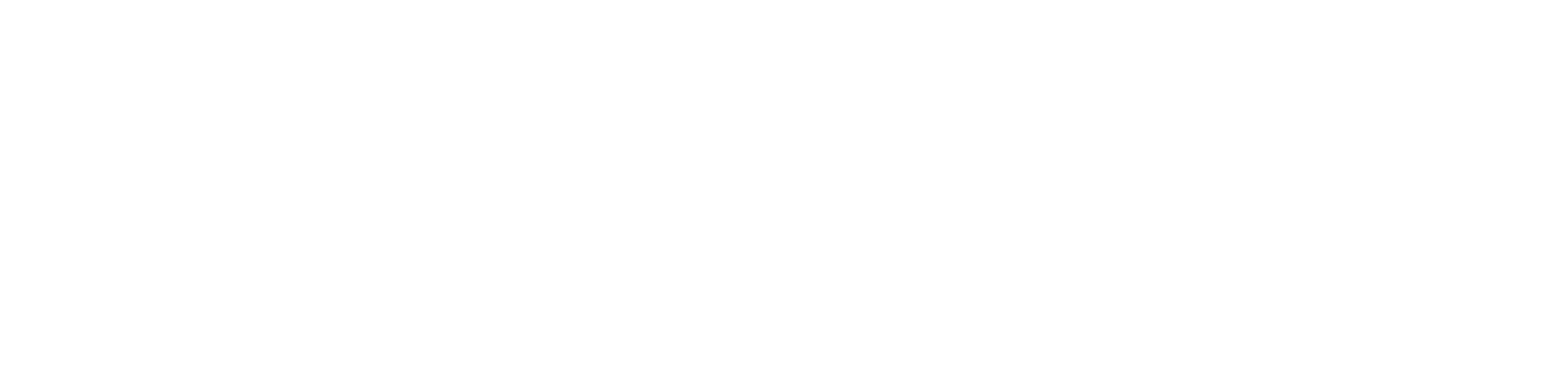 Patel Consultancy